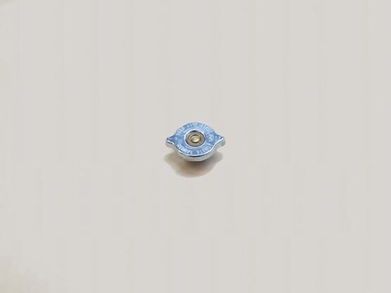 Radiator cap with gasket