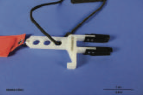 Tail Blades Immobilization