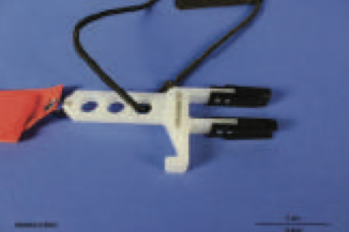 Tail Blades Immobilization