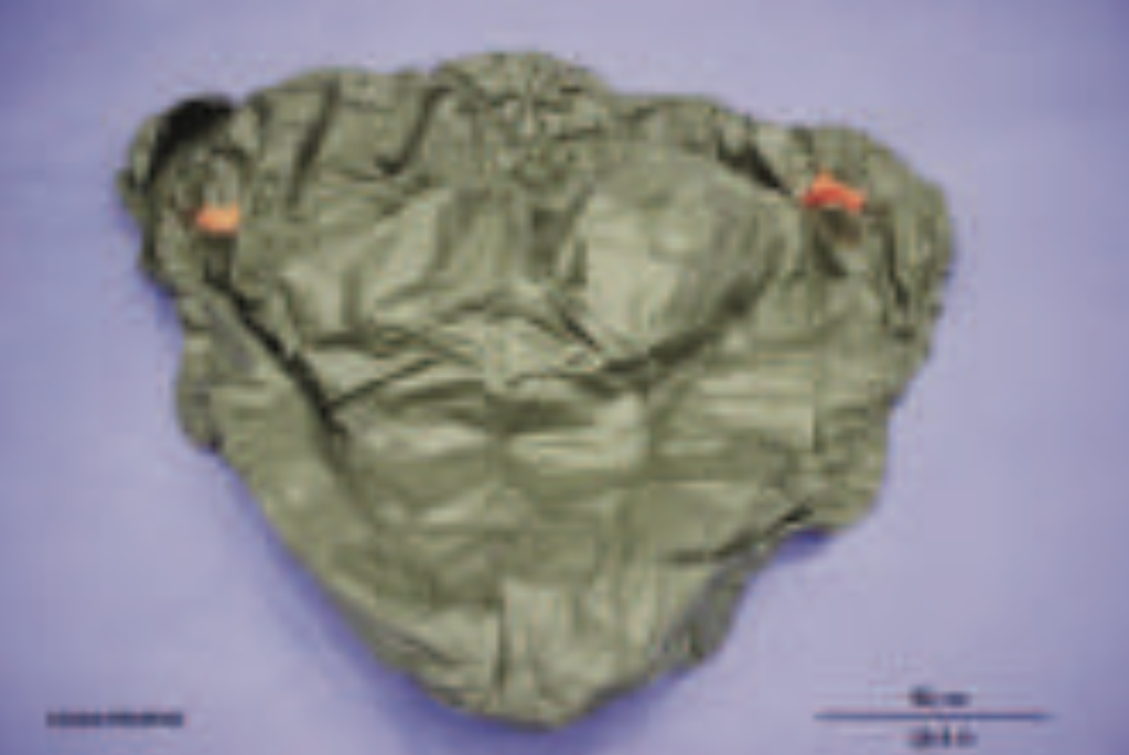 Electrical Multi- purpose Air Intake Cover