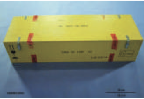 Tail Rotor Blades Case
