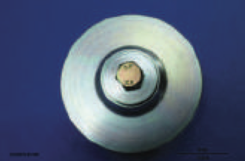 Horsepower Seal Hafting