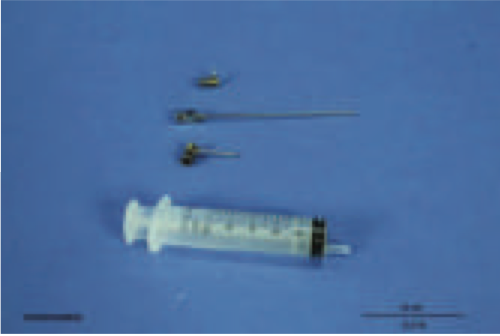 Lubrification Pump