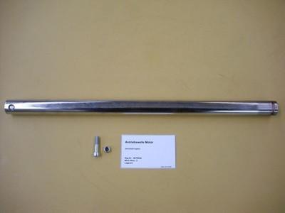 Driveshaft engine (2010)